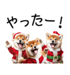 クリスマス☆柴犬（個別スタンプ：36）