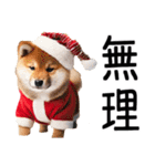 クリスマス☆柴犬（個別スタンプ：37）