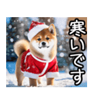 クリスマス☆柴犬（個別スタンプ：38）