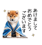 クリスマス☆柴犬（個別スタンプ：40）