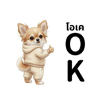 チワワ犬のタイ語日本語挨拶（個別スタンプ：2）