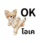 チワワ犬のタイ語日本語挨拶（個別スタンプ：5）