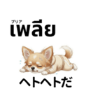 チワワ犬のタイ語日本語挨拶（個別スタンプ：14）