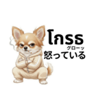 チワワ犬のタイ語日本語挨拶（個別スタンプ：16）