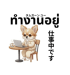 チワワ犬のタイ語日本語挨拶（個別スタンプ：17）