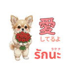 チワワ犬のタイ語日本語挨拶（個別スタンプ：20）