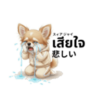 チワワ犬のタイ語日本語挨拶（個別スタンプ：24）