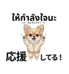 チワワ犬のタイ語日本語挨拶（個別スタンプ：25）