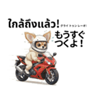 チワワ犬のタイ語日本語挨拶（個別スタンプ：30）