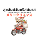 チワワ犬のタイ語日本語挨拶（個別スタンプ：38）