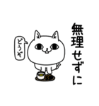 じろりねこ優しい気遣い（個別スタンプ：26）