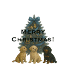 願いを込めて！40種類のクリスマスツリー（個別スタンプ：23）