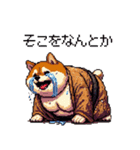 子分ふとっちょ柴犬 一生ついていきます（個別スタンプ：2）