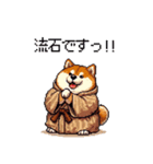 子分ふとっちょ柴犬 一生ついていきます（個別スタンプ：4）