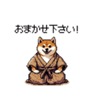 子分ふとっちょ柴犬 一生ついていきます（個別スタンプ：5）
