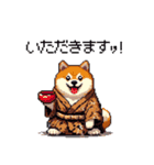 子分ふとっちょ柴犬 一生ついていきます（個別スタンプ：8）