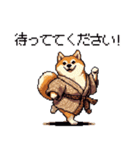 子分ふとっちょ柴犬 一生ついていきます（個別スタンプ：9）