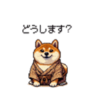 子分ふとっちょ柴犬 一生ついていきます（個別スタンプ：10）