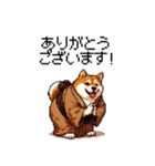 子分ふとっちょ柴犬 一生ついていきます（個別スタンプ：11）