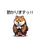 子分ふとっちょ柴犬 一生ついていきます（個別スタンプ：12）