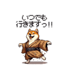 子分ふとっちょ柴犬 一生ついていきます（個別スタンプ：13）