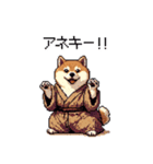 子分ふとっちょ柴犬 一生ついていきます（個別スタンプ：19）