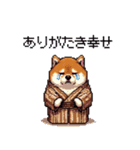 子分ふとっちょ柴犬 一生ついていきます（個別スタンプ：22）