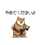 子分ふとっちょ柴犬 一生ついていきます（個別スタンプ：24）