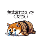 子分ふとっちょ柴犬 一生ついていきます（個別スタンプ：29）