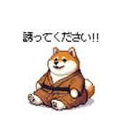 子分ふとっちょ柴犬 一生ついていきます（個別スタンプ：31）