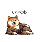 子分ふとっちょ柴犬 一生ついていきます（個別スタンプ：33）