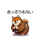 子分ふとっちょ柴犬 一生ついていきます（個別スタンプ：34）