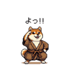 子分ふとっちょ柴犬 一生ついていきます（個別スタンプ：36）