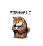 子分ふとっちょ柴犬 一生ついていきます（個別スタンプ：40）