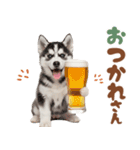 いつでも使える♡ハスキーのスタンプ（個別スタンプ：1）