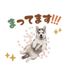いつでも使える♡ハスキーのスタンプ（個別スタンプ：38）