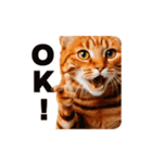 軽量！優しく励ます猫のカンフーなスタンプ（個別スタンプ：2）