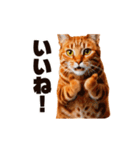 軽量！優しく励ます猫のカンフーなスタンプ（個別スタンプ：3）