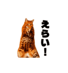 軽量！優しく励ます猫のカンフーなスタンプ（個別スタンプ：5）