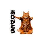 軽量！優しく励ます猫のカンフーなスタンプ（個別スタンプ：10）