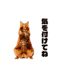 軽量！優しく励ます猫のカンフーなスタンプ（個別スタンプ：17）