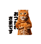 軽量！優しく励ます猫のカンフーなスタンプ（個別スタンプ：19）