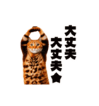 軽量！優しく励ます猫のカンフーなスタンプ（個別スタンプ：22）