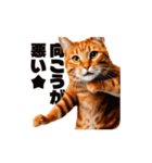 軽量！優しく励ます猫のカンフーなスタンプ（個別スタンプ：23）