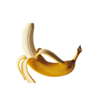 ⚫動く！情熱バナナ（エッチ/笑える/エロい)（個別スタンプ：6）