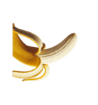 ⚫動く！情熱バナナ（エッチ/笑える/エロい)（個別スタンプ：11）