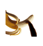 ⚫動く！情熱バナナ（エッチ/笑える/エロい)（個別スタンプ：21）