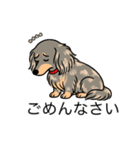 名前入りダックスイザベラタンダップル（個別スタンプ：2）