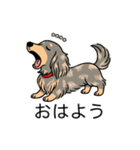 名前入りダックスイザベラタンダップル（個別スタンプ：3）