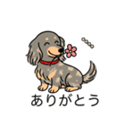 名前入りダックスイザベラタンダップル（個別スタンプ：5）